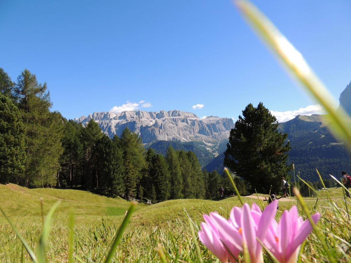 Hotel Chalet Dlaces Selva di Val Gardena Bagian luar foto
