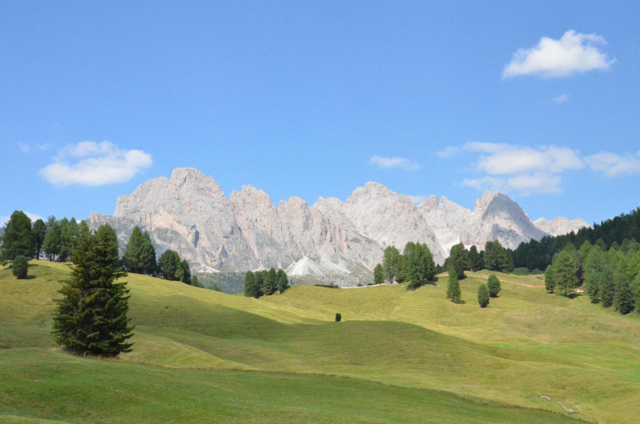 Hotel Chalet Dlaces Selva di Val Gardena Bagian luar foto