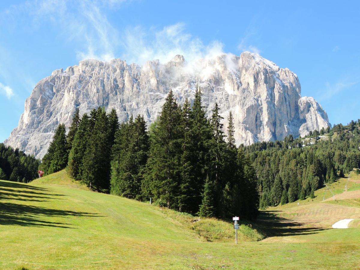 Hotel Chalet Dlaces Selva di Val Gardena Bagian luar foto